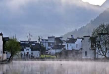 茶香弥漫宝安区，茶艺论坛共鉴茶道魅力